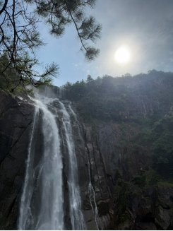 1750899879496156.png wps3.png