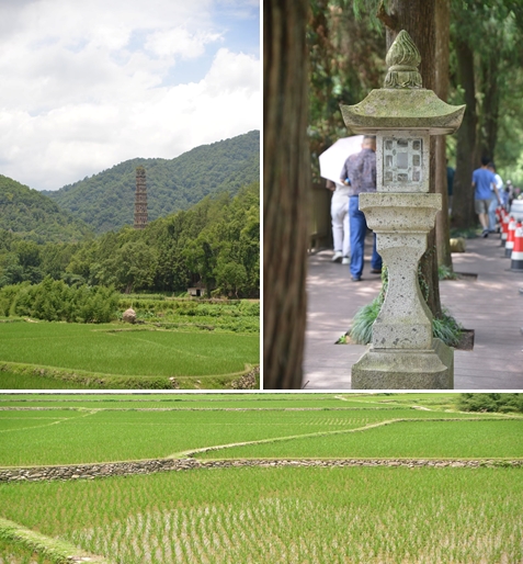 1751504725552442.jpg wps45.jpg