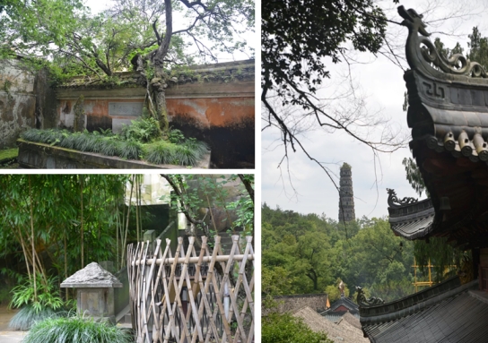 1751504744109158.jpg wps4.jpg