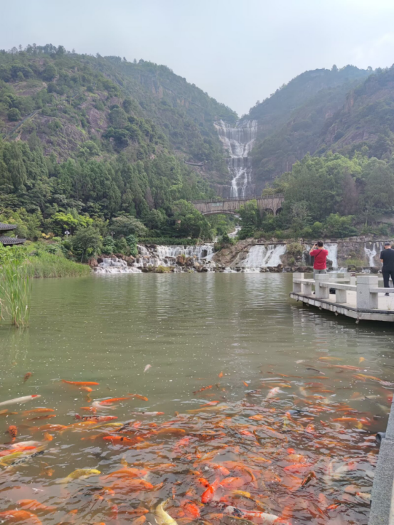 1751504862370030.png wps19.png