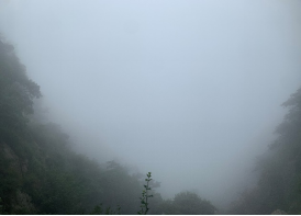 1751590925454415.png wps9.png