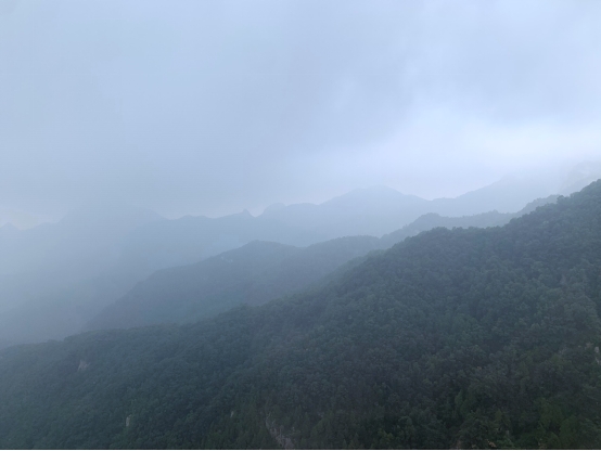 1751590956215201.jpg wps14.jpg