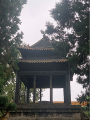 1751591004343866.png wps22.png